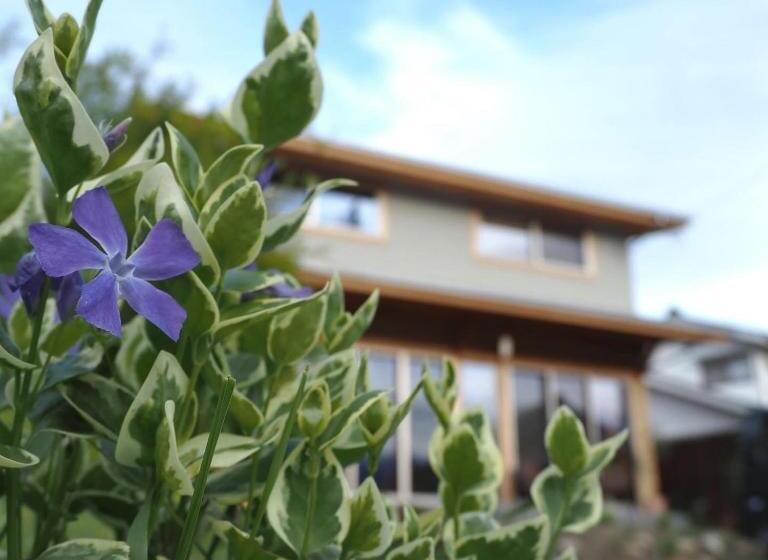 بنسيون Canoa Guest House B Room Vacation Stay 47218v