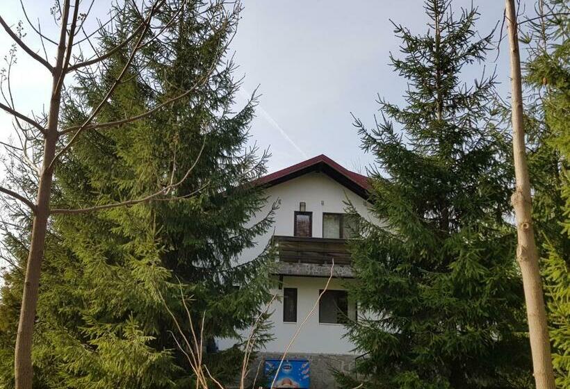 ペンション Casa Cu Brazi