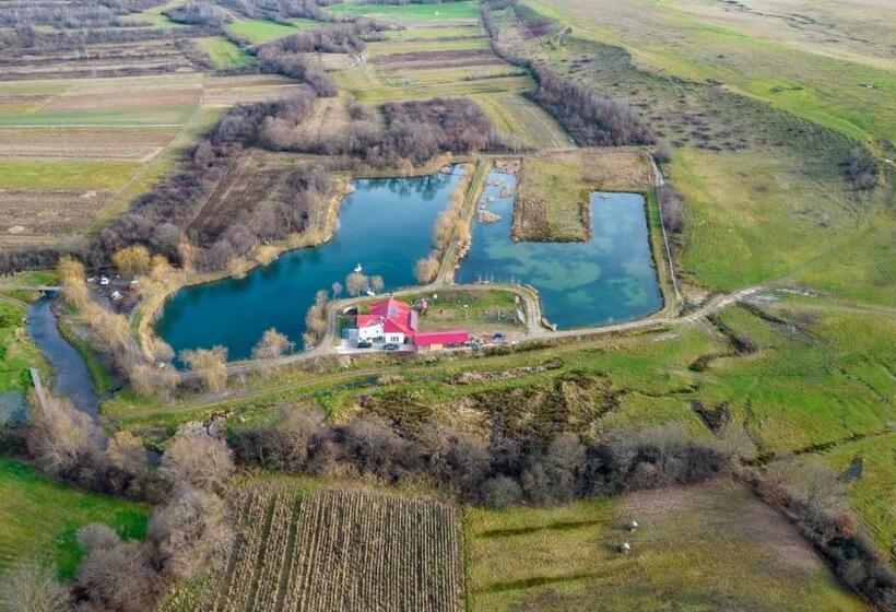 بنسيون Casa De La Baltă