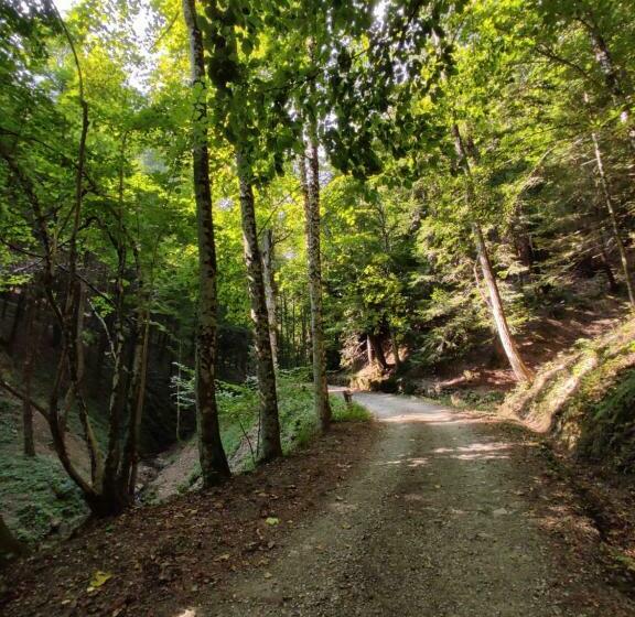 膳宿费 Casa Dora Home Retreat