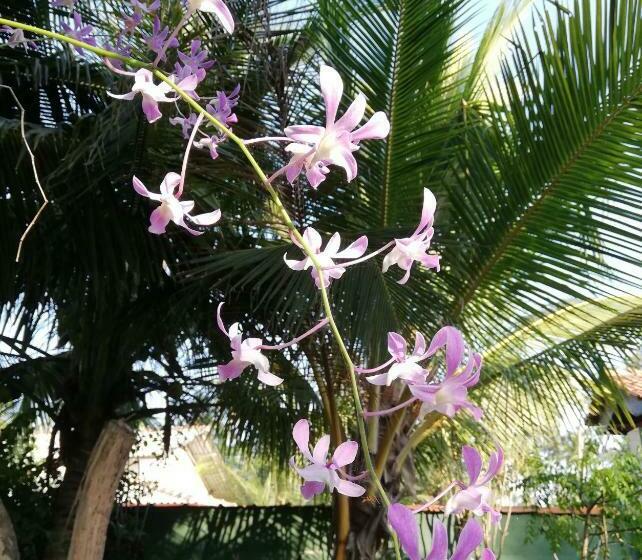 펜션 Casa Hikka Guest House