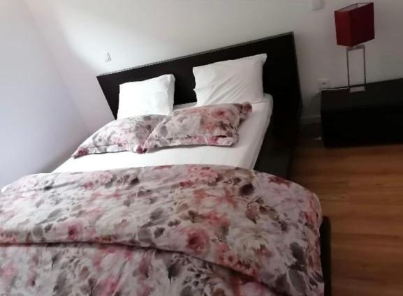 פנסיון Casa No Gerês Com Piscina Privada