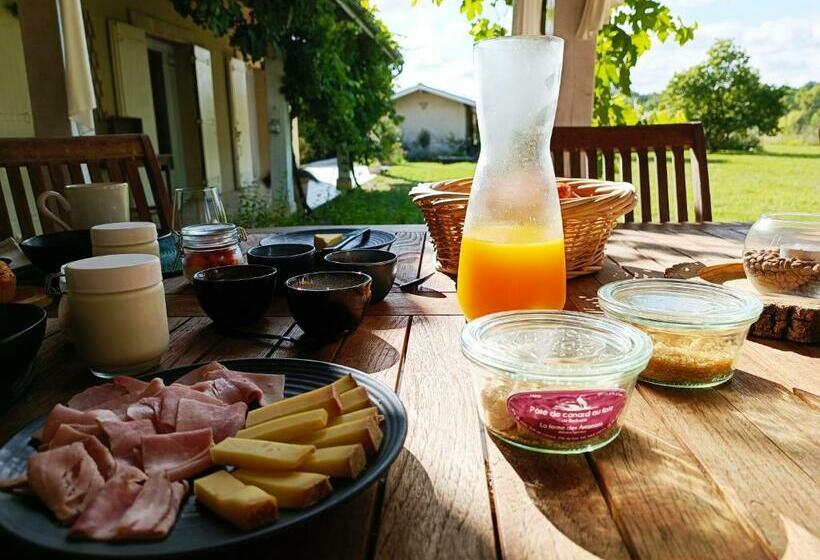 פנסיון Chambre D Hôtes De Charme, A Nosté M&p