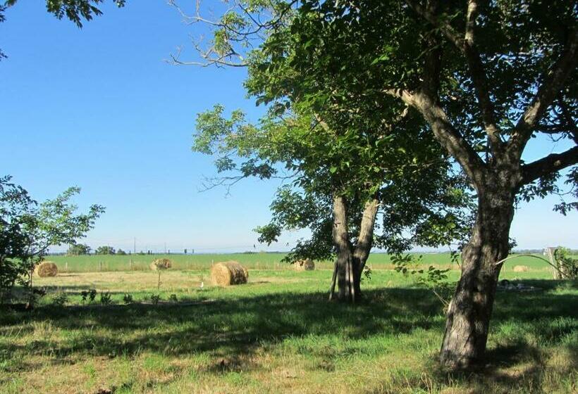 Пансион Chambres D Hôtes Les Pieds Dans L Herbe