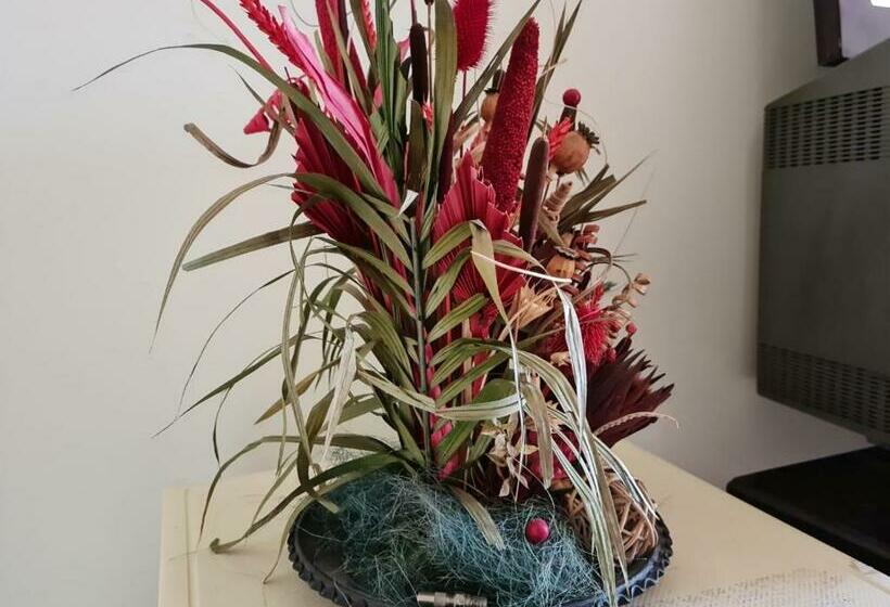 膳宿费 Conac Boieresc Ciocan