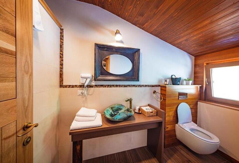 Пансион Conacul Sanct Gurgh