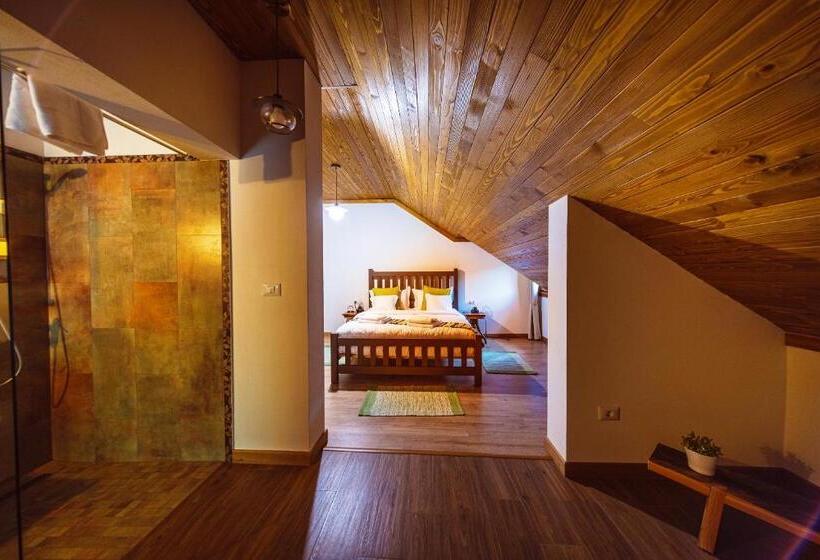 Пансион Conacul Sanct Gurgh