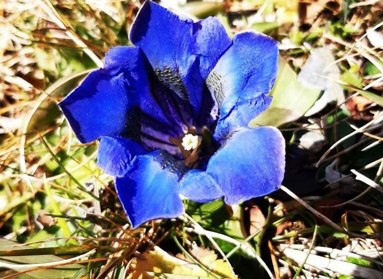 بنسيون Feriensempachersee Sandra Sens