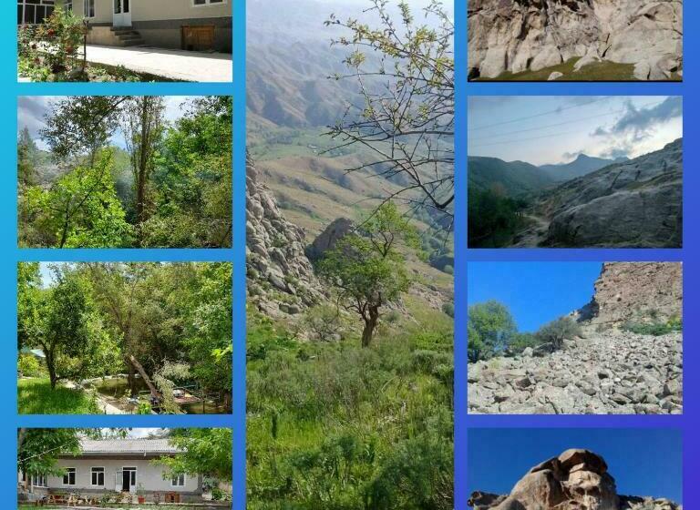 פנסיון Forest Guest House