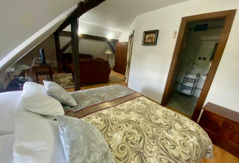 Пансион Kaštieľ Benice