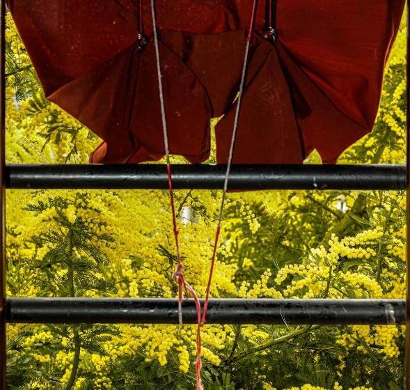 بنسيون La Locanda Degli Artisti