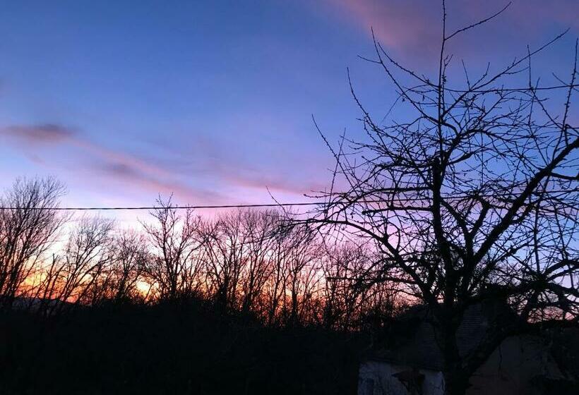 פנסיון La Maison D Hélène