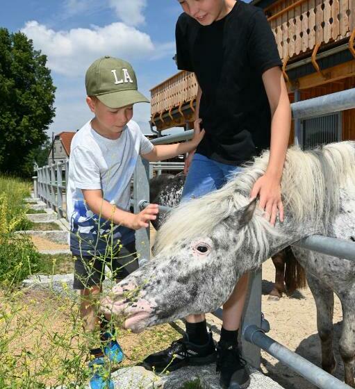膳宿费 Lerchenberghof   Barrierefreies Familien Landhotel Mit Fewo, Fezi   Spielplatz Reiten Segway Pt Und