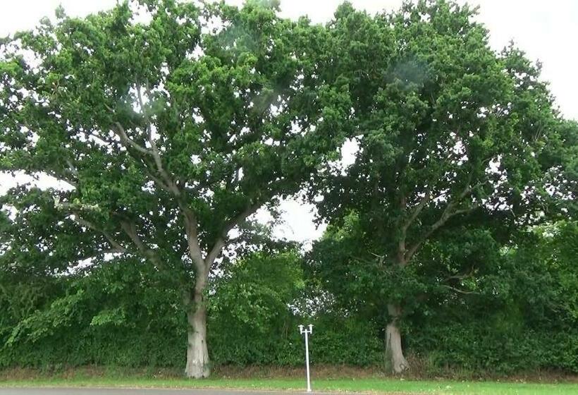 פנסיון Les Grands Chênes