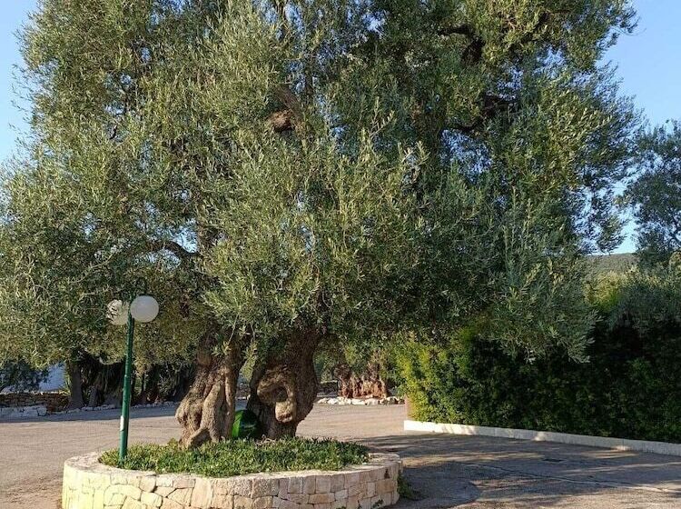 Пансион Masseria Galleppa   Rooms, Pool And Relax