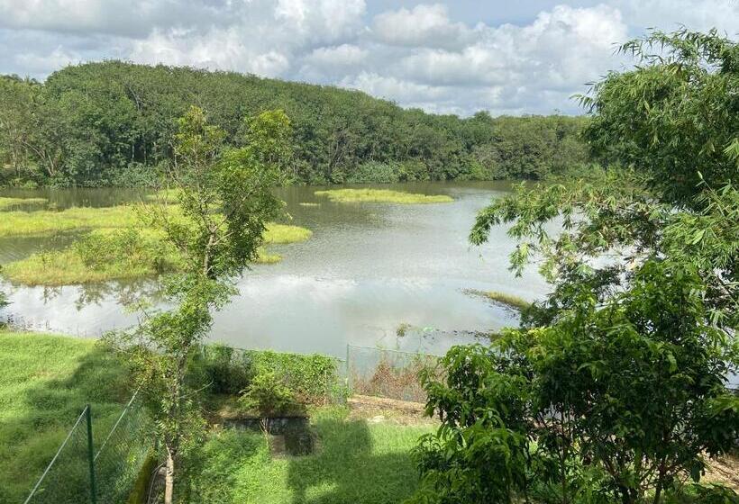 ペンション Savenndra