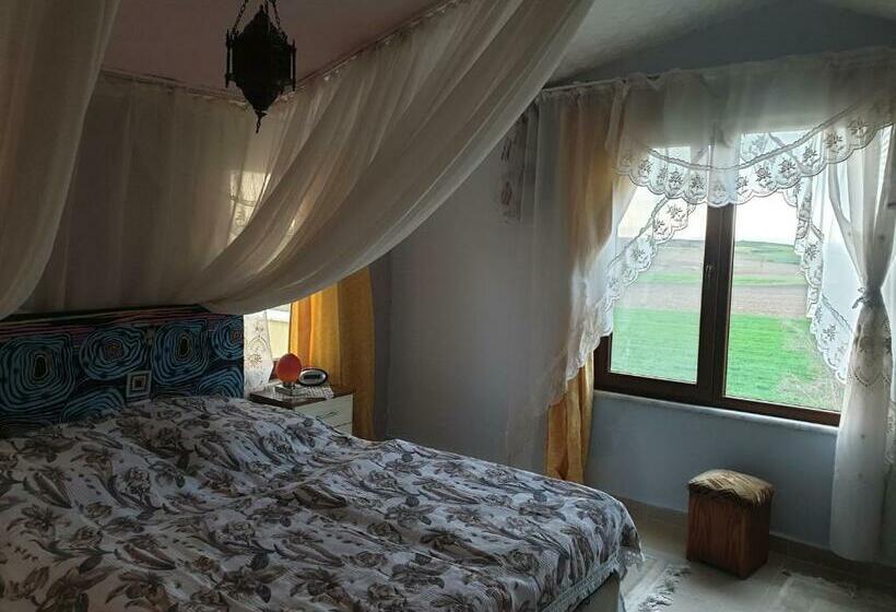 ペンション Sizin Tatil Eviniz