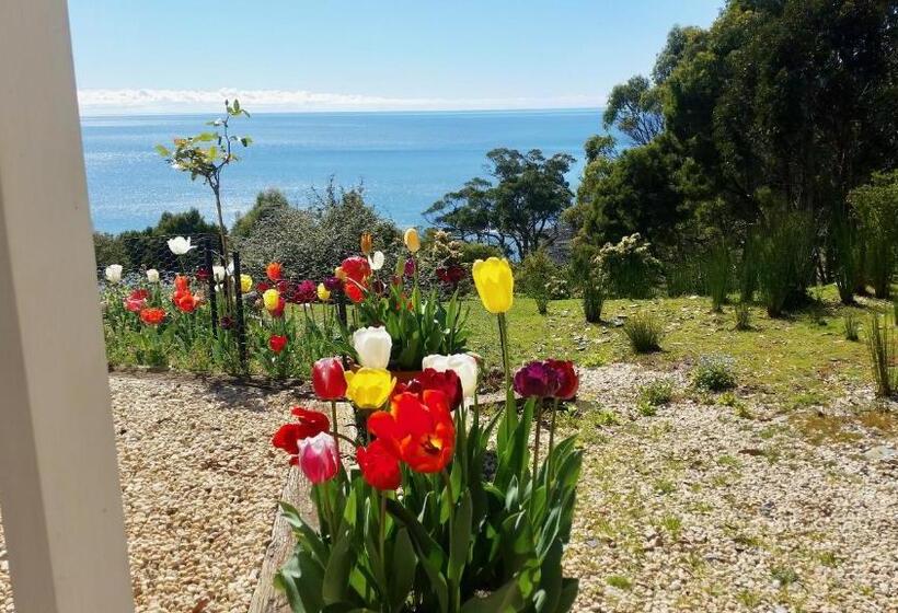 پانسیون Skyescape On Northshore