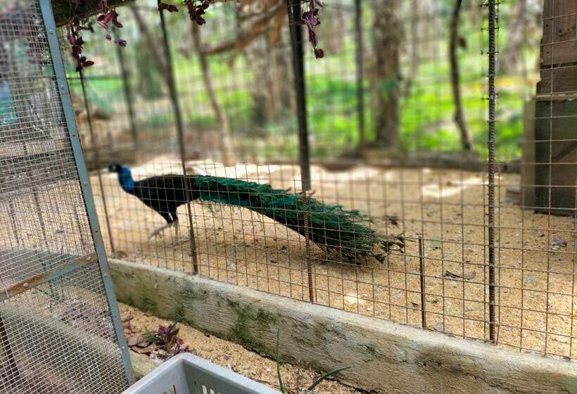 פנסיון Studio Juan Bnb