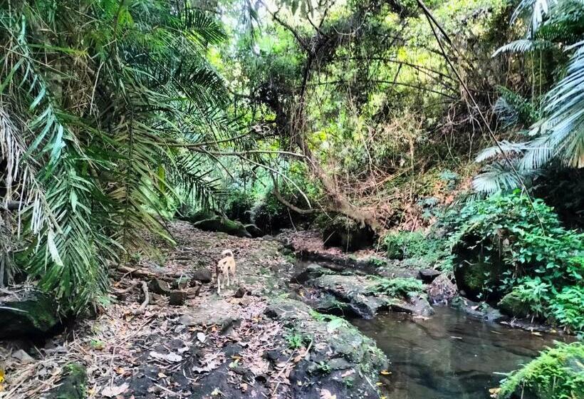 פנסיון Studio Juan Bnb