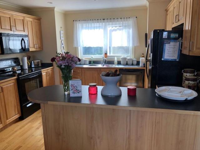 The Thoughtful Dog Bed & Breakfast