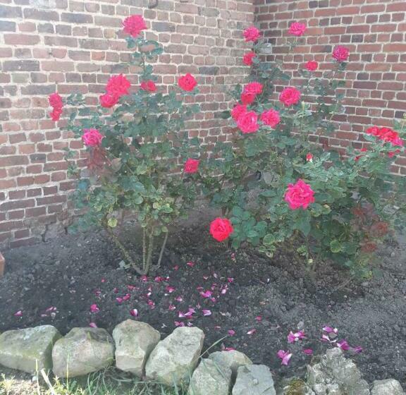 Bed and Breakfast Au Coeur De L Enclave