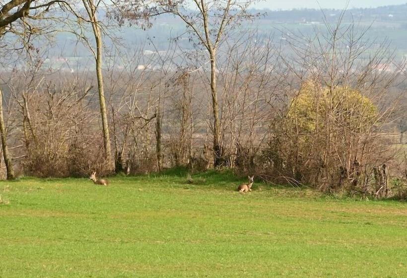 민박 Aux 3 Forêts