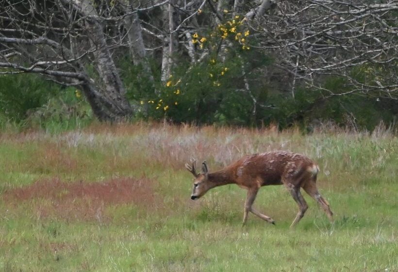 민박 Aux 3 Forêts
