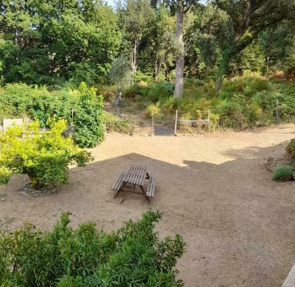 Bed and Breakfast Casa Di Olmo