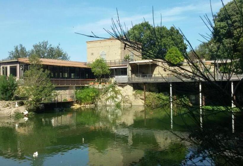 ベッドアンドブレックファースト La Remessuola La Torre Sul Lago