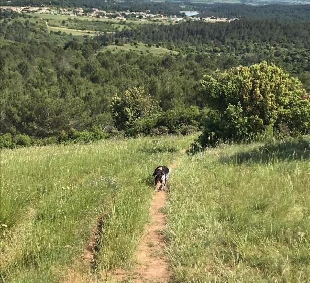 ベッドアンドブレックファースト La Rosela De La Cité