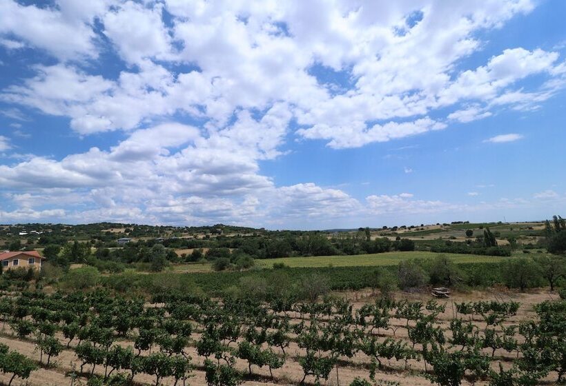 בית מלון כפרי Dessera Vineyards