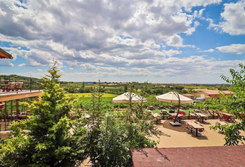 בית מלון כפרי Dessera Vineyards