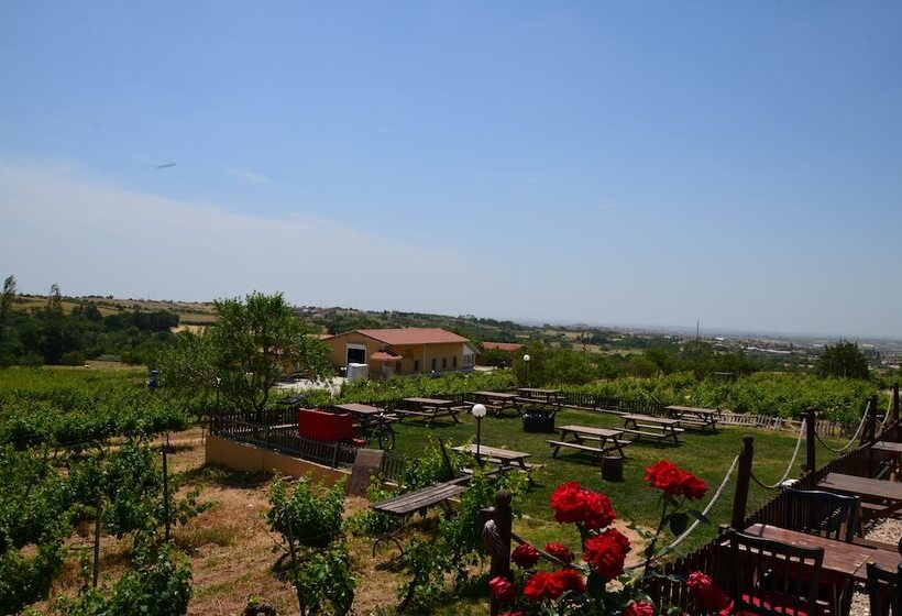 בית מלון כפרי Dessera Vineyards