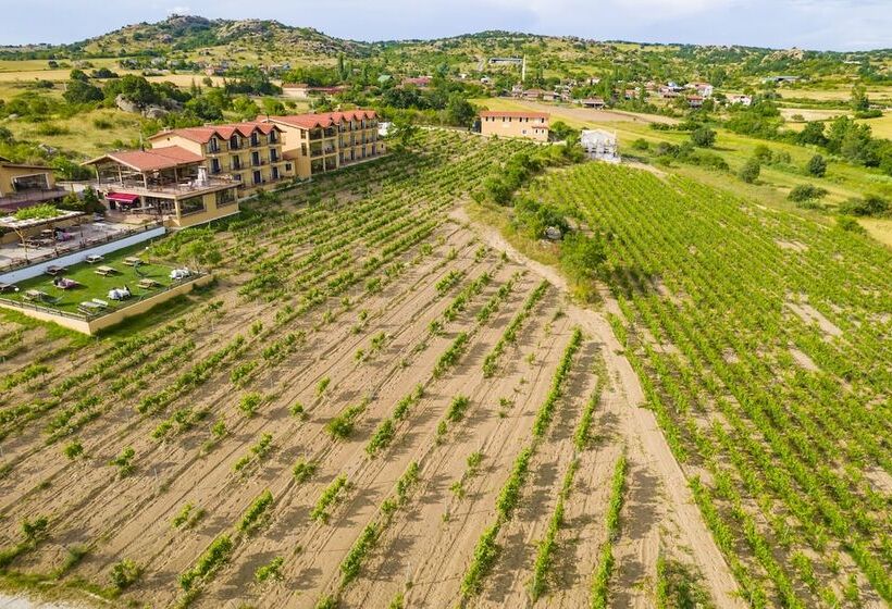 בית מלון כפרי Dessera Vineyards