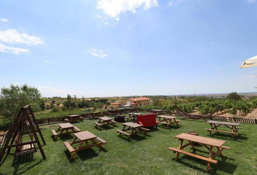 בית מלון כפרי Dessera Vineyards