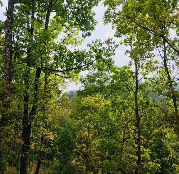 ホテル Quo Vadis Farm