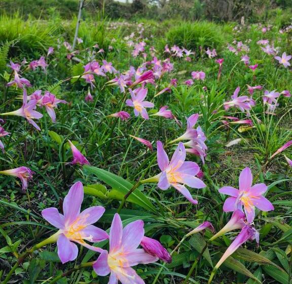 ホテル Quo Vadis Farm