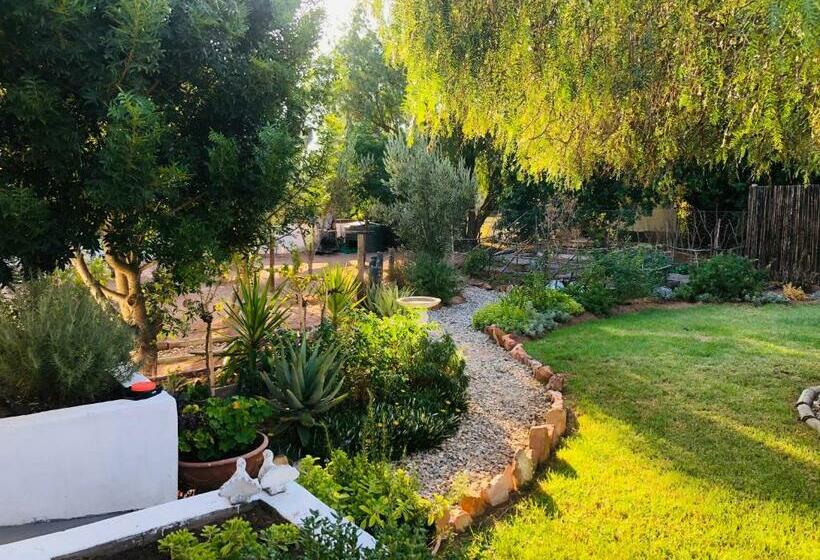 פנסיון 31 On Kloof