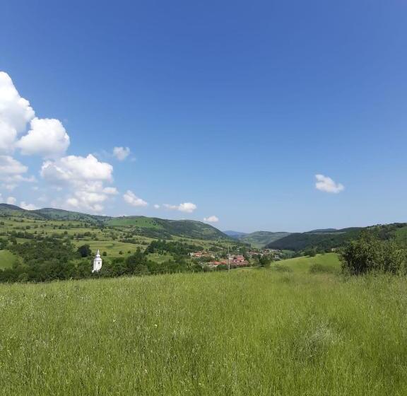 膳宿费 Casa Izbuc