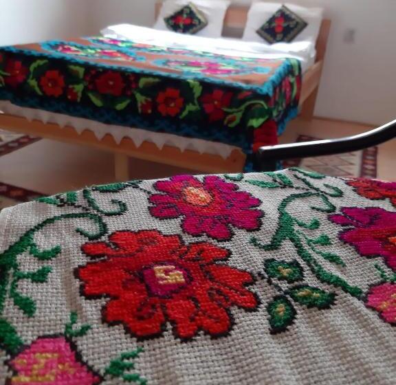 膳宿费 Casa Izbuc