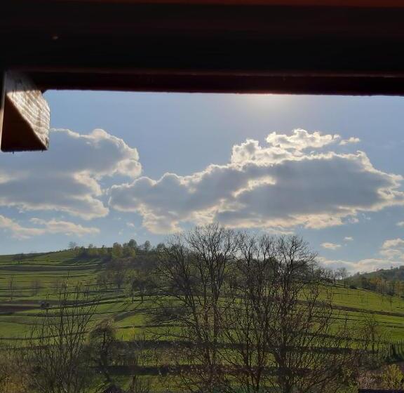 膳宿费 Casa Izbuc