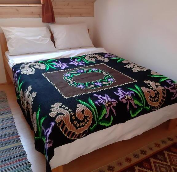 膳宿费 Casa Izbuc