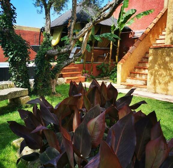 بنسيون La Bergerie Douceur