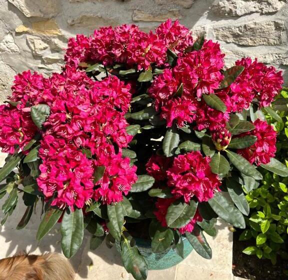 פנסיון Le Mas De Retheuil