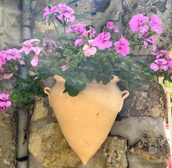 פנסיון Le Mas De Retheuil