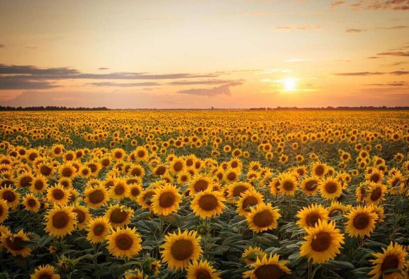 펜션 Les Vieilles Pierres