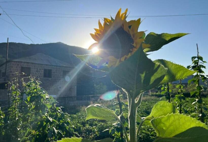 بنسيون Manana Guesthouse