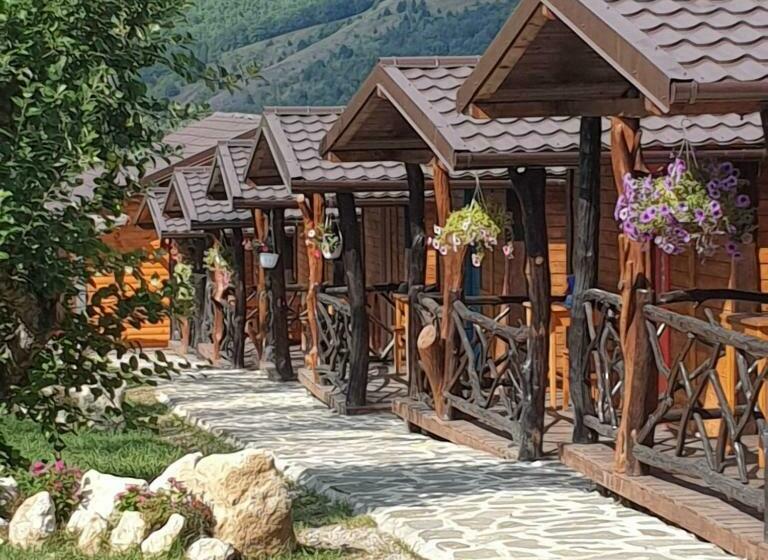 بنسيون Popas 8 Odăi