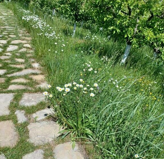 Pensiunea Agroturistica Casa Jucan
